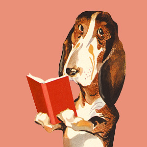 dog with book image