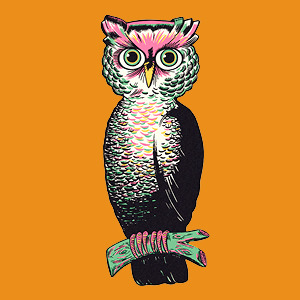 owl in a yellow background